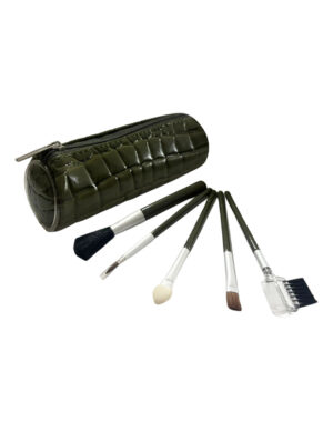 SET DE BROCHAS