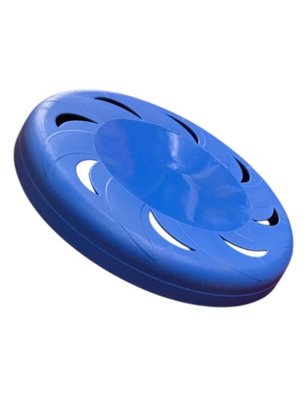 FRISBEE AZUL